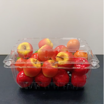Ekologiczne plastikowe pudełko z muszelką na owoce