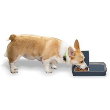 2 meals programmable pet feeder