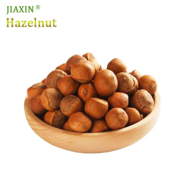 Hazelnuts for Wholesale Best Chinese Quality Hazelnut