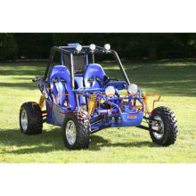 650cc Buggy