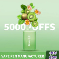 Пользовательский дизайн пера Vape Elfbar BC5000