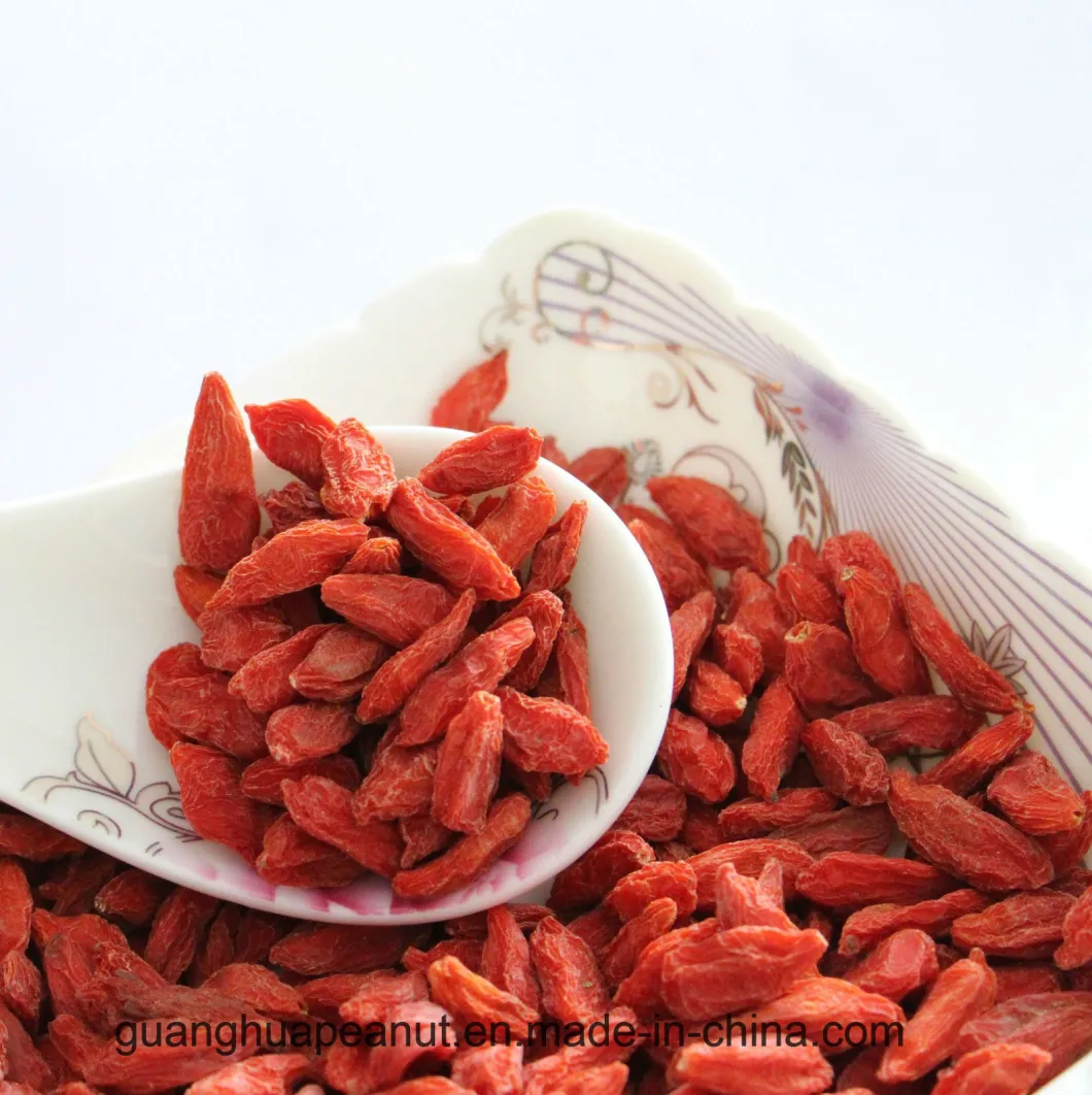 Plump Goji Berries From Ningxia with Natural Nutrition