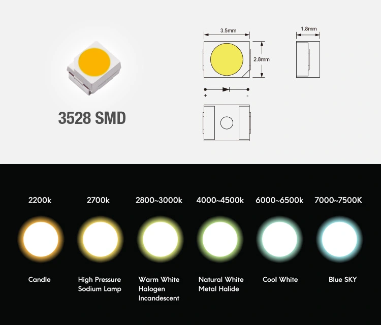 3years Warranty LED Light Strip SMD3528 120LED DC24 Single Color Light for Lighting Decoration