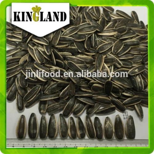 Non gmo bulk sunflower seeds