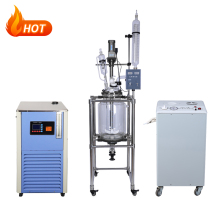 Continuous Stirred Tank Chemical Pressure Reactor Vessel