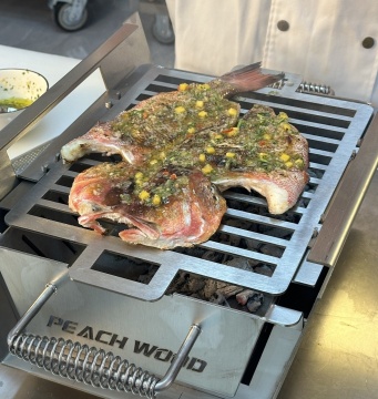 Table Top Grill Meat Warmer Camping Grill YGT380