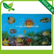 Ocean plastic PP dining table mat