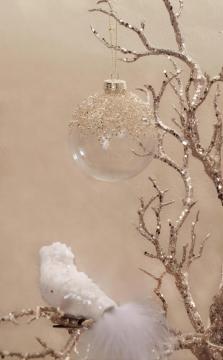 Gold Powder Transparent Christmas Ball