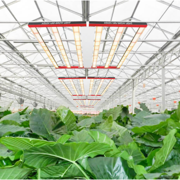 720W 6 บาร์ไฟ Greenhouse Hydro Indoor Grow Lights