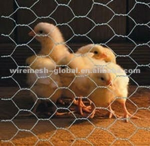 high quality on promotion and very popular hexagonal decorative chicken wire mesh