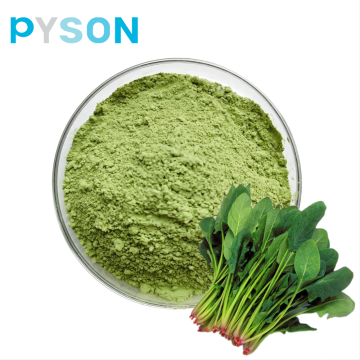 Supply Organic natural spinach extract