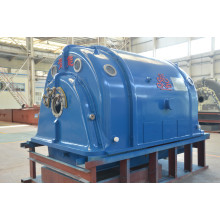 Steam Turbine Induction Generator