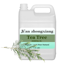 pure tea tree oil bulk wholesale australian fresh tea tree oil for skin care