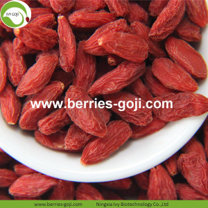 Verliere Gewicht Fruit Nutrition Natural Tibet Goji