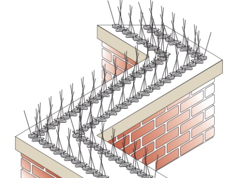 Single anti-bird spines all stainless steel 304 bird spikes eaves with 50CM scare bird spines