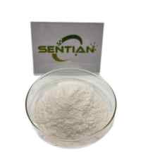 Adenosylcobalamin B12 Powder Supplement