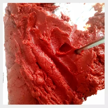 No Additives and Aseptic Tomato puree