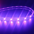 Adresseerbaar RGB DMX512 ledstrip zwart licht