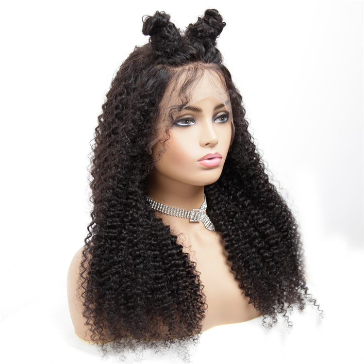 Brazilian Virgin Curly Human Hair Lace Wigs Pre Plucked Hair Line With Baby Hair For Black Women