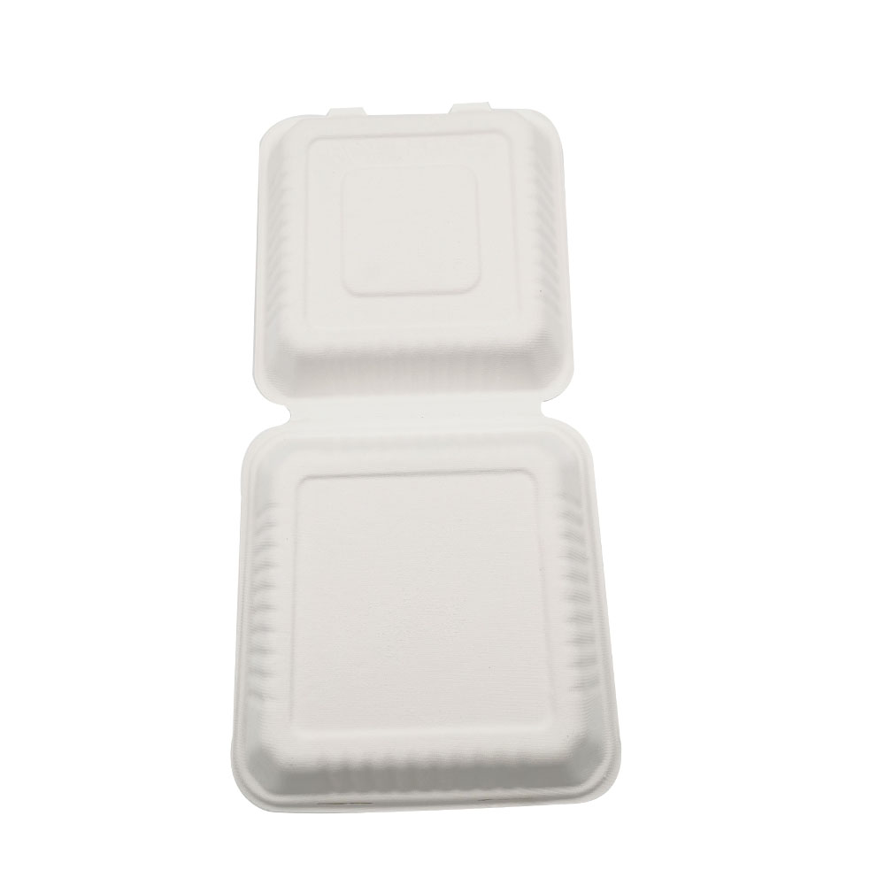 Disposable Food Packaging Containers								