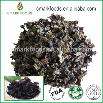 northeast high mountain Meat thick No root flesh thick black fungus In the autumn