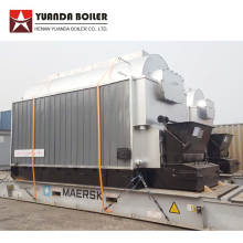 DZL Coal Biomass Fired Steam Boiler