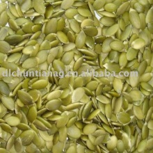 Organic pumpkin seed kernel GWS