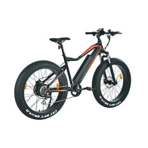 XY-CHAMPION hybrid 29 inch electric bike