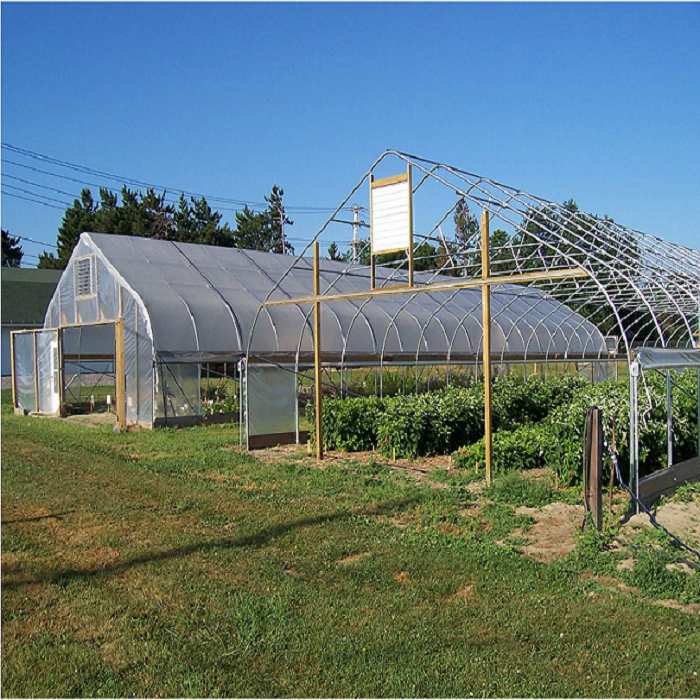 High Quality Gothic Structure Arch Film Greenhouse