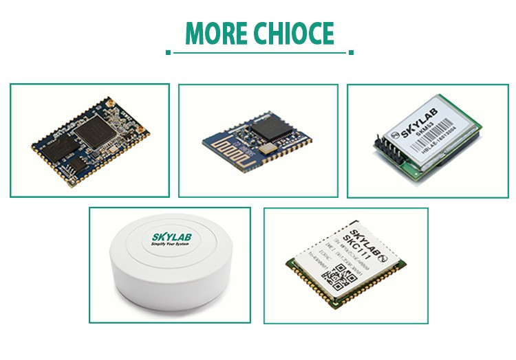 skylab gps module skm53 with antenna intergrated