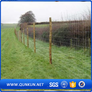Galvanized horse sheep iron fence