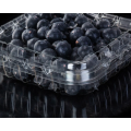 Boîte à clapets en plastique portable pour fruits