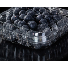 Penjualan atas Blueberry Punnet