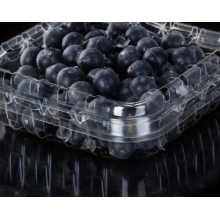 Najlepsza sprzedaż Blueberry Punnet