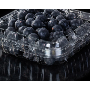 Caja de plástico portátil para frutas