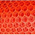 Plastic Screen Mesh Netting