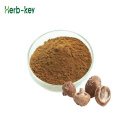 Lentinus Edodes Extract Shiitake Mushroom Powder