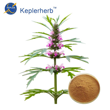 Suprimento de fábrica de extrato de Motherwort