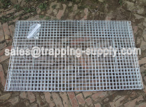 Double Door Galvanized Pigeon Cage Trap