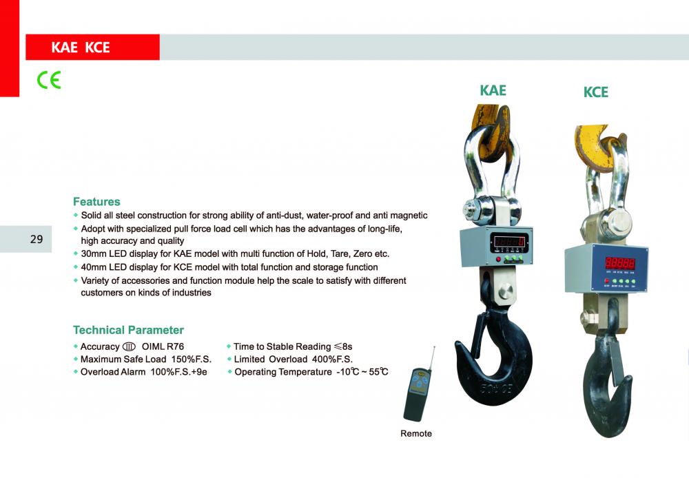 Industrial crane scale