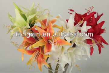 decorative flower amaryllis 27510
