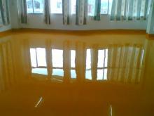 Waterborne Epoxy Resin Paint