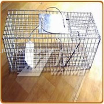 animal trap