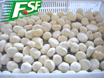 IQF water chestnut 2015