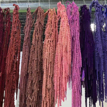 Colorful Preserved Amaranth: White, Pink, Red Long Stem Flowers for House Decoration