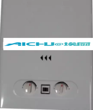 Instantaneous Gas Water Heater