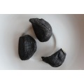 Flash Sales the Healthy Black Garlic