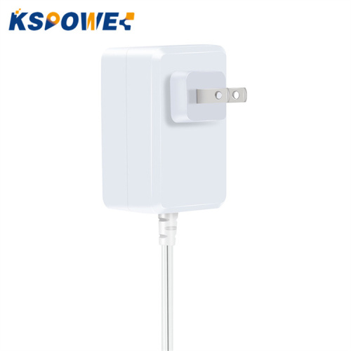 9W 9V1A American Wall Plug POS voeding