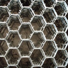 Hexmesh with Lance Tabs: Specialized Hexagonal Mesh Solutions