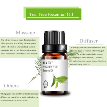 Top quality therapeutic grade 10ml tea tree essential oil